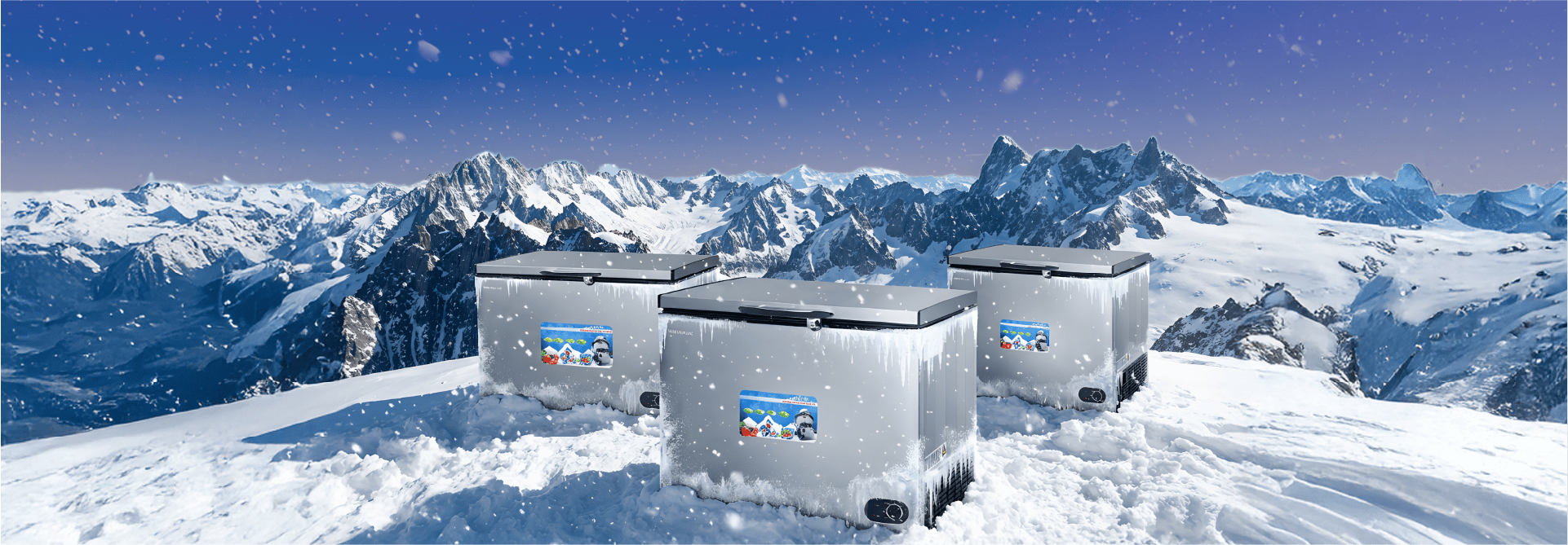 Where Freshness Meets Innovation